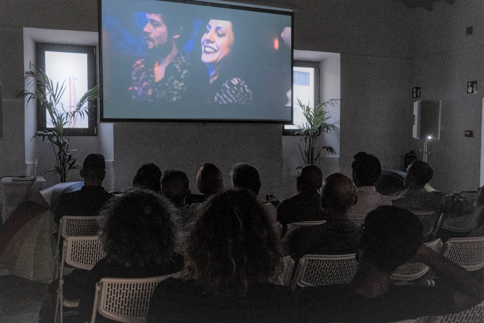 62588254_2326373524246006_2689160194612527104_n